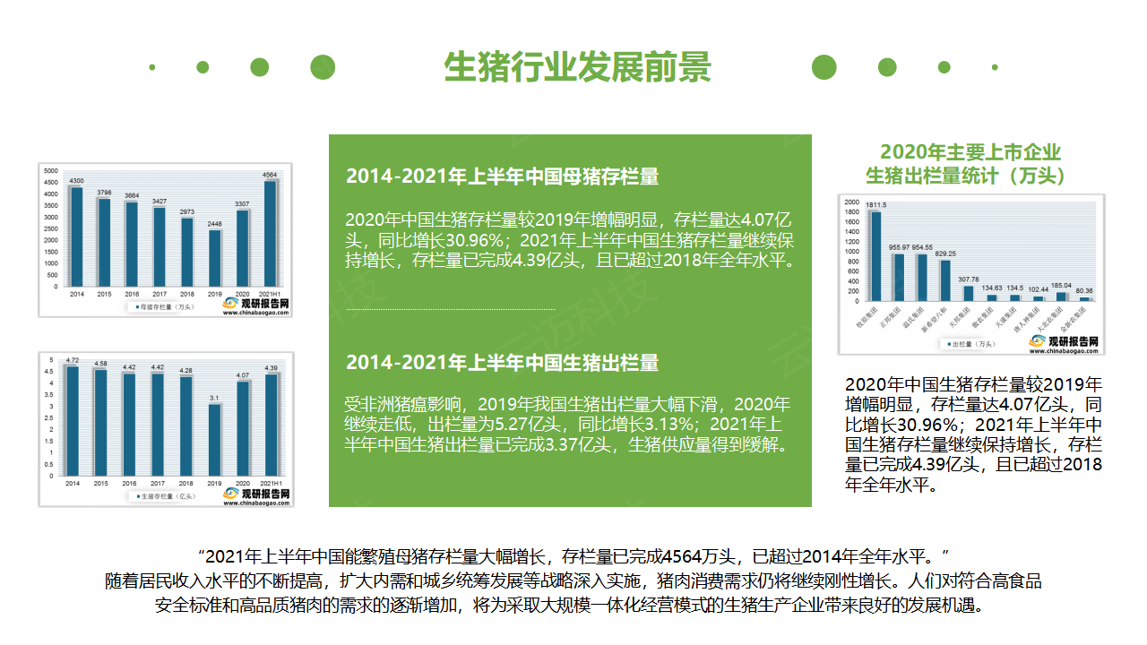 生猪竞价解决方案_04.png