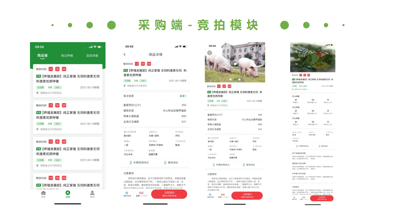 生猪竞价解决方案_25.png