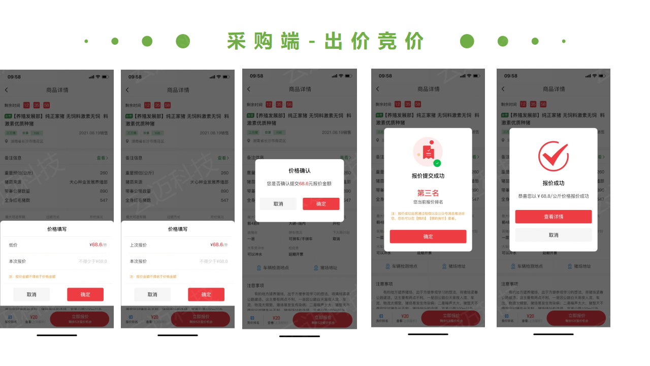 生猪竞价解决方案_26.png
