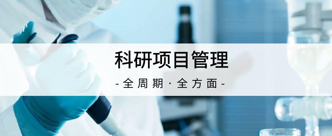 如何利用科研项目管理系统提高项目执行效率？